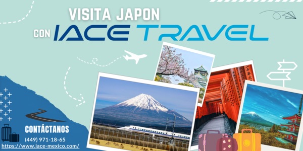 banner-iace